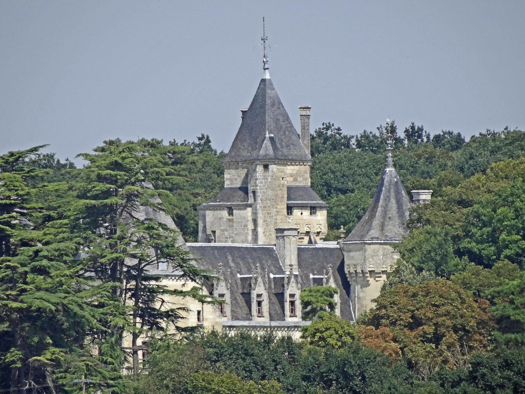 Château De Ternay Alojamento de Acomodação e Pequeno-almoço