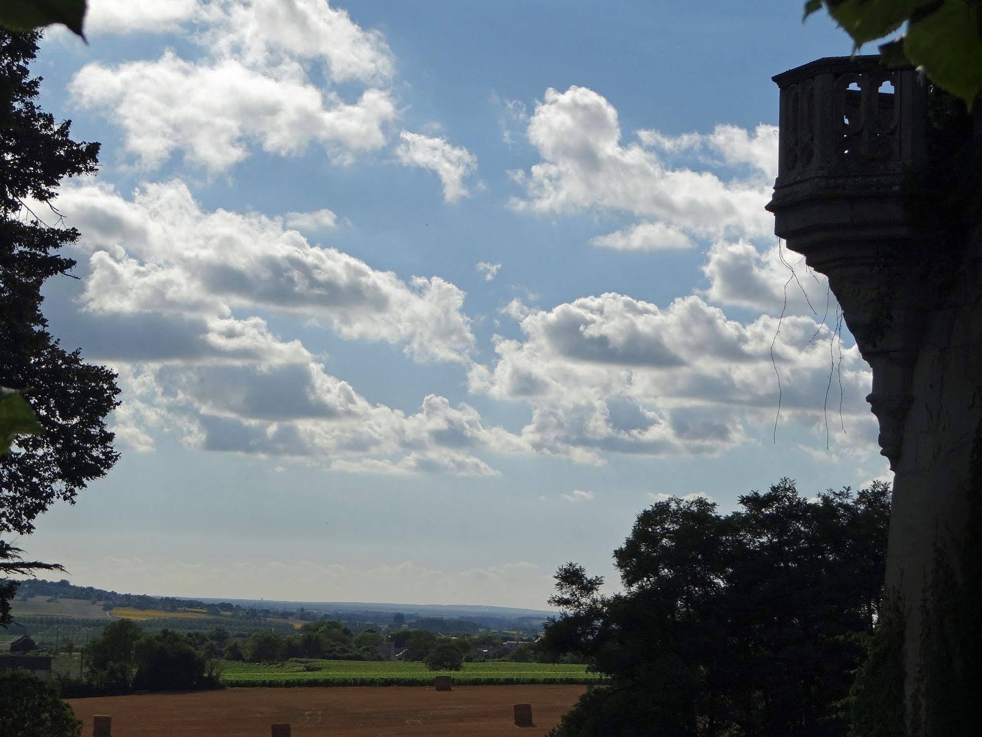 Château De Ternay Alojamento de Acomodação e Pequeno-almoço Ternay (Vienne)
