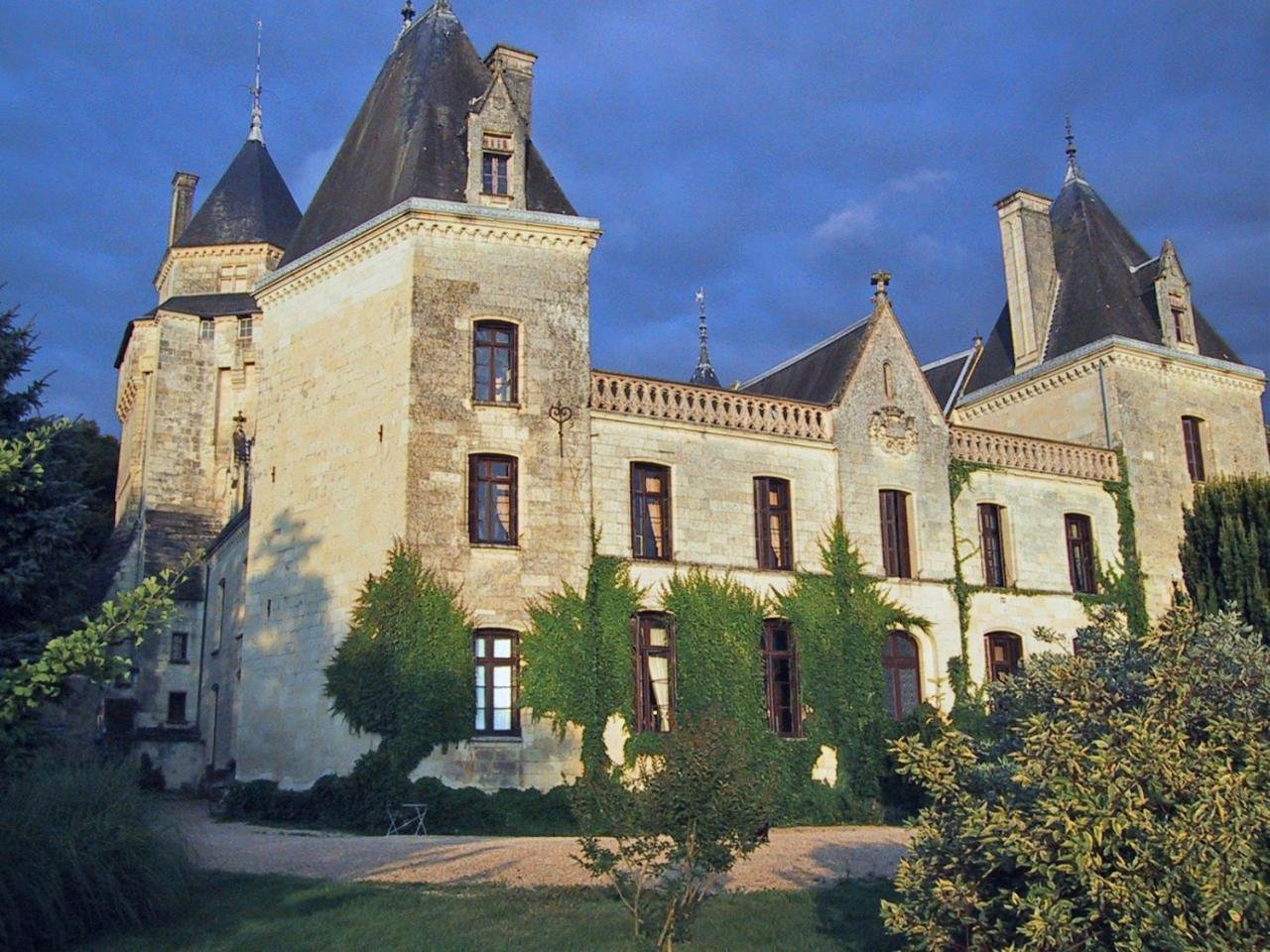 Château De Ternay Ternay (Vienne)